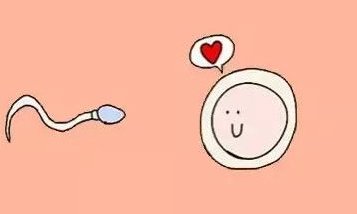 试管婴儿会有后遗症吗？试管婴儿前应该做什么检查？