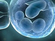 2026年想去东宁市做试管婴儿需要准备哪些事？详细收费明细一览