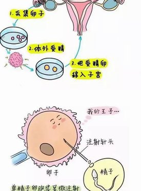 2026年想去和龙市做试管婴儿需要准备哪些事？详细收费明细一览