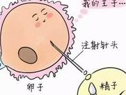 2026在南雄市做基因检测多少钱？基因筛查可以规避哪些遗传病？