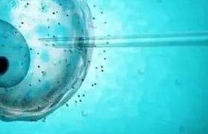 确诊为免疫性不孕能在兴化市做试管婴儿吗？做三代试管需要多少钱？