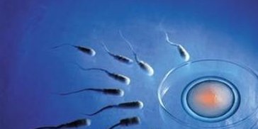 贵阳技术好的试管婴儿医院排行榜揭晓，附排名前五试管医院名单！