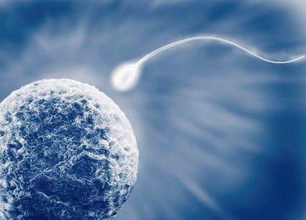 科学备孕的注意事项和准备工作？