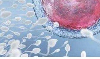 试管婴儿移植后胎停育是怎么回事？